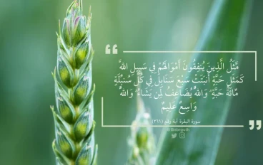 الإنفاق في سبيل الله
