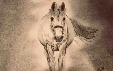 ١٢ نصائح بسيطة لتحسين مهارات الرسم الخاصة بك - ج١