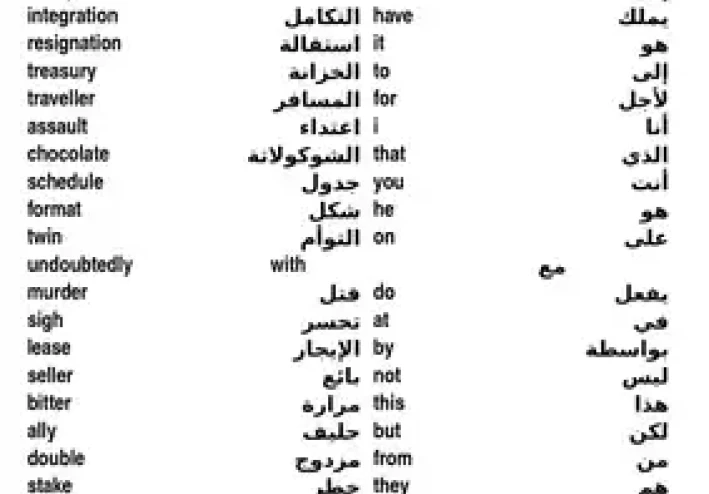 تحميل كتاب 6000كلمة هامة في إتقان اللغة الانجليزية مترجمة pdf ، doc