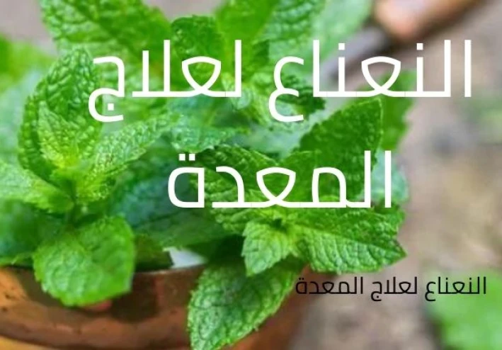 Mint to treat the stomach