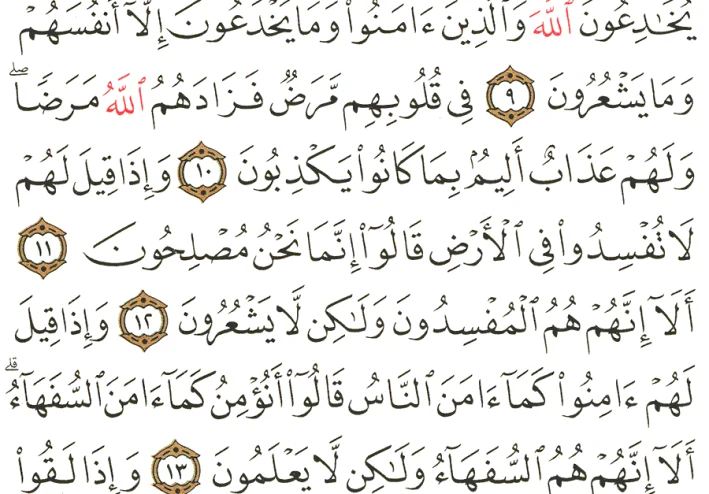 تفسير القرآن الكريم: سورة البقرة الصفحة ٣ من المصحف.