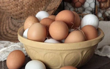 فوائد كبيرة لتناول البيض يوميا ، ربما لم تعرفها من قبل !