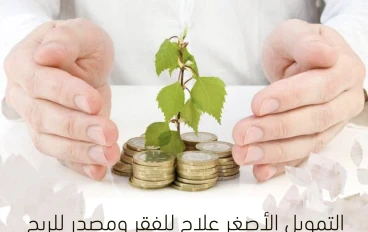 اثر شركات التمويل الاصغر على المجتمع 