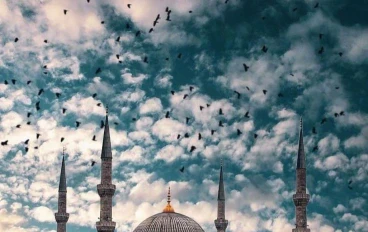 تعرف على محمد رسول الله صلى الله عليه وسلم #