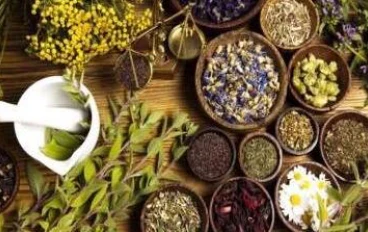 طرق علاج التهاب الرئة بالأعشاب 