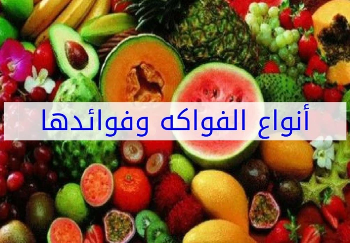 استكشاف فوائد الفواكه ودورها الأساسي في تحسين صحتك ونمط حياتك الغذائي