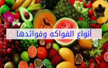  استكشاف فوائد الفواكه ودورها الأساسي في تحسين صحتك ونمط حياتك الغذائي