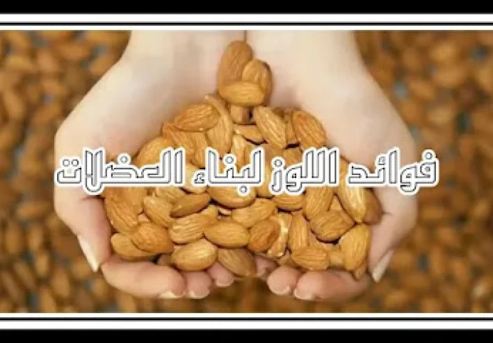 ما هي فوائد تناول اللوز لتنمية العضلات؟