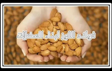 ما هي فوائد تناول اللوز لتنمية العضلات؟