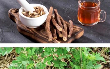فوائد واضرار  العرق سوس للجسم . 