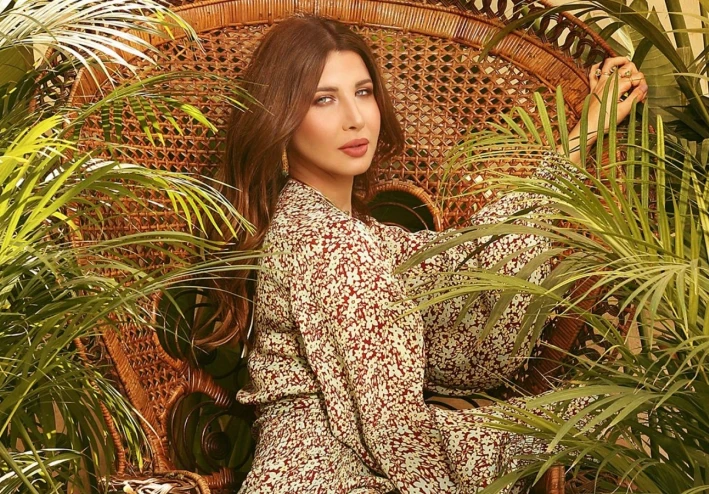 نانسي عجرم تسحر جمهورها بإطلالتها.. عقد بملايين الدولارات