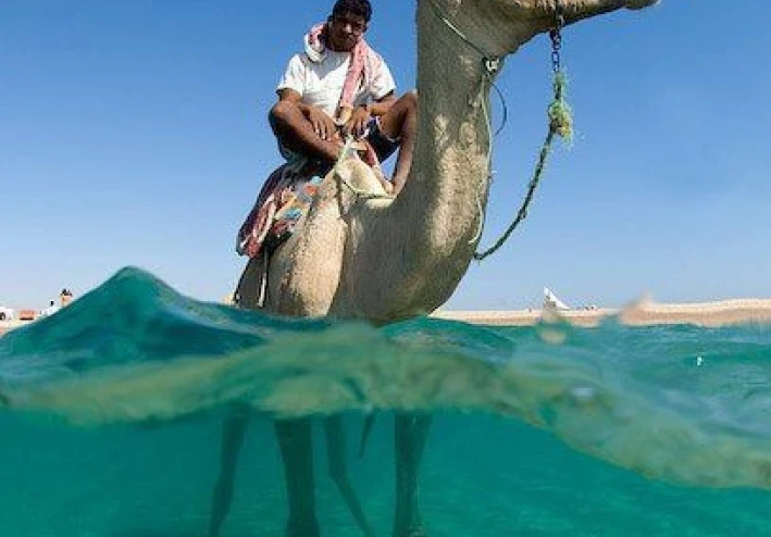 مرسى مطروح فى مصر #