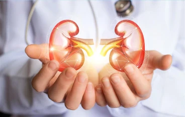 تنضيف الكلي من الطبيعة؛ حب كليتك وحافظ عليها ونقيها من السموم.