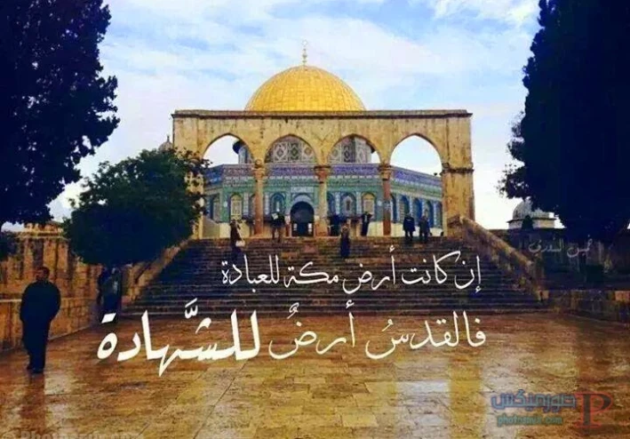 المسجد الاقصي, بفلسطين بلد الصبر  والكرامه