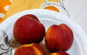 فوائد الخوخ والمشمش.. تعرف عليها