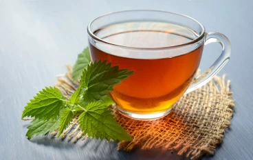 فوائد الشاي الأخضر الصحية