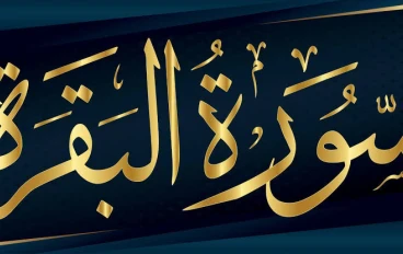 سوره البقره كامله إن الذين كفر وأسواء عليهرء أنذرتهم أم لم تذره