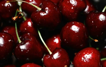 القوة الحمراء الصغيرة: استكشاف الفوائد الصحية للكرز (Cherry) كـ "سوبر فود" طبيعي