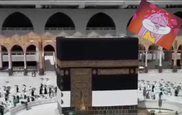 المنيا ملوي الشيخ حسين 