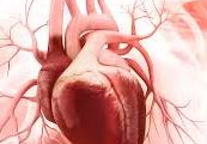 امراض القلب  وكيفيه الوقايه والعلاج