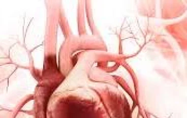 امراض القلب  وكيفيه الوقايه والعلاج
