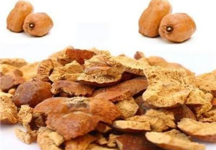 نبات الدوم وفوائده الصحيه للجسم