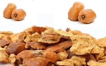 نبات الدوم وفوائده الصحيه للجسم 