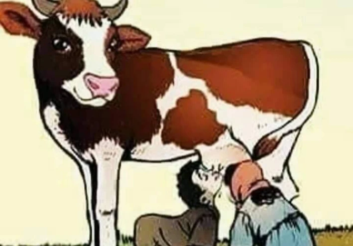 قصة الأولاد وبقرة اليتامى وزوجة أبيهم الشريرة