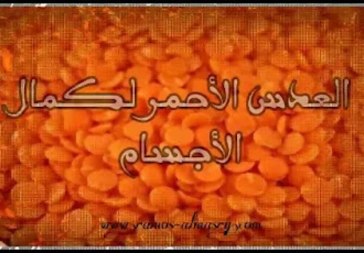 العدس الأحمر في كمال الأجسام وفوائده للأطفال وكبار السن