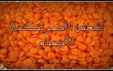 العدس الأحمر في كمال الأجسام وفوائده للأطفال وكبار السن
