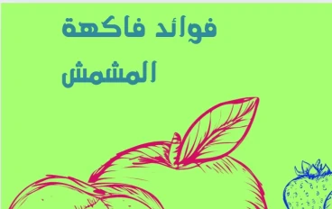 المشمش: فاكهـة الصيـف المفضلــةو له فوائد صحية 