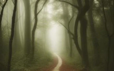 Title: "Whispers in the Mist"