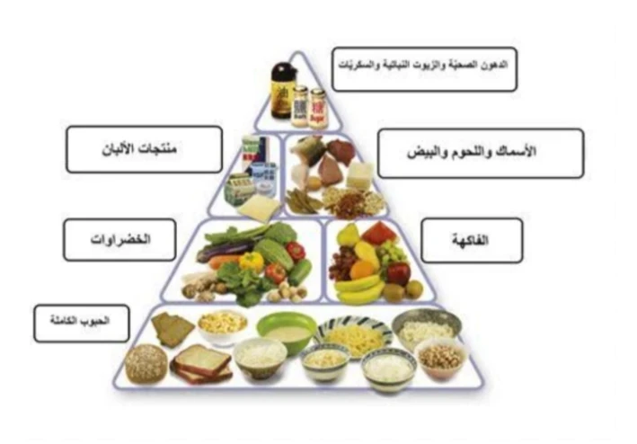 التغذية الصحيحة والسليمة