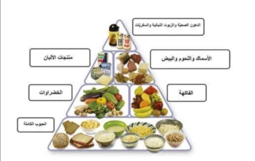 التغذية الصحيحة والسليمة