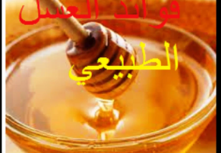 فوائد العسل ؟ماهو العسل ولماذا سمية بهذا الاسم؟