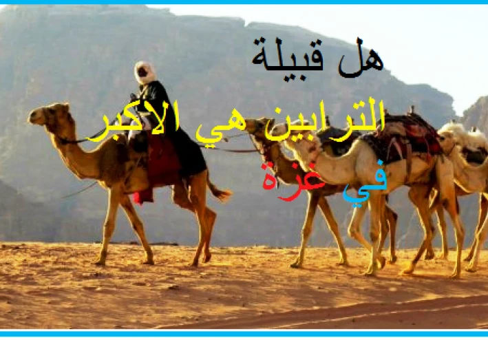 هل قبيلة الترابين هي الاكبر في غزة بين البدو ؟