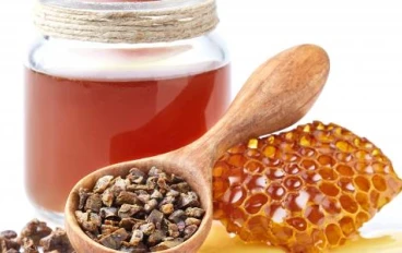 ماذا تعرف عن: البروبوليس(عكبر العسل)؟