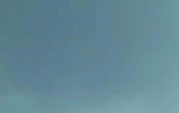 السيرة النبوية الشريفة 