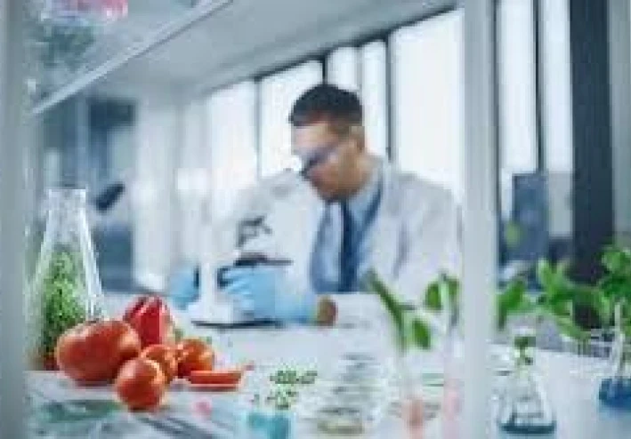تخصص البيوتكنولوجيا في كلية الزراعة: الطريق نحو مستقبل مستدام ومبتكر