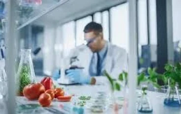 تخصص البيوتكنولوجيا في كلية الزراعة: الطريق نحو مستقبل مستدام ومبتكر