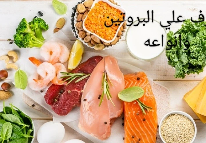 #### البروتين الحيواني أم النباتي أيهما أفضل؟