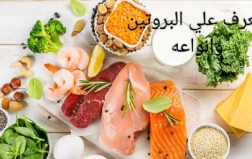 #### البروتين الحيواني أم النباتي أيهما أفضل؟
