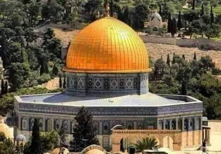 الطريق الصحيح لتحرير فلسطين
