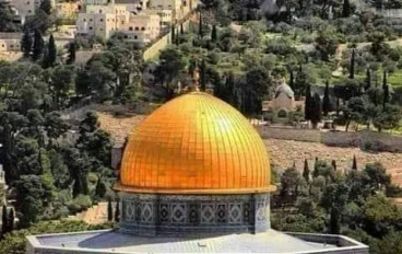 الطريق الصحيح لتحرير فلسطين 