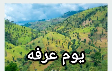 يوم عرفه وعظمته 