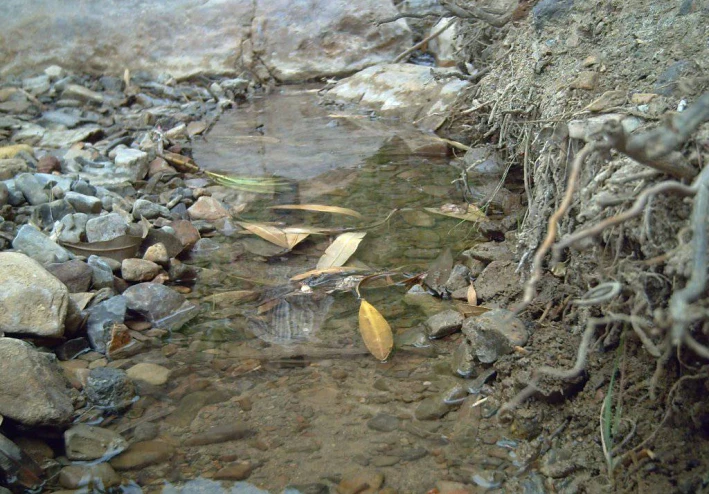 The most important problems and solutions developed by the state with regard to the management of water resources and their valuation
