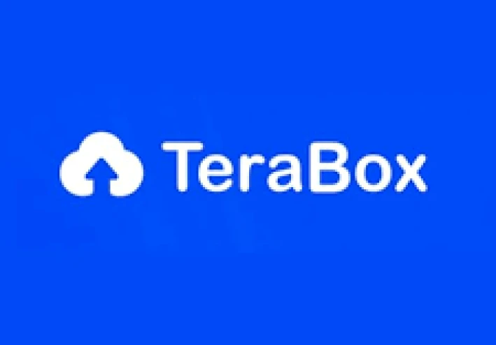 Terabox: هل يمكن الاعتماد عليه أم لا؟