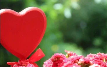 قصه حب وجنون بين فتاه وشاب 😉😍❤️