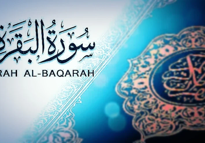 "رحلة تأمل في أعماق سورة البقرة: من الخلق إلى الحياة الأبدية"