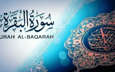 "رحلة تأمل في أعماق سورة البقرة: من الخلق إلى الحياة الأبدية" 